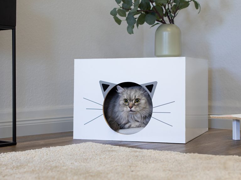 Kwadratowe pudełko z otworem o wyglądzie głowy kota.