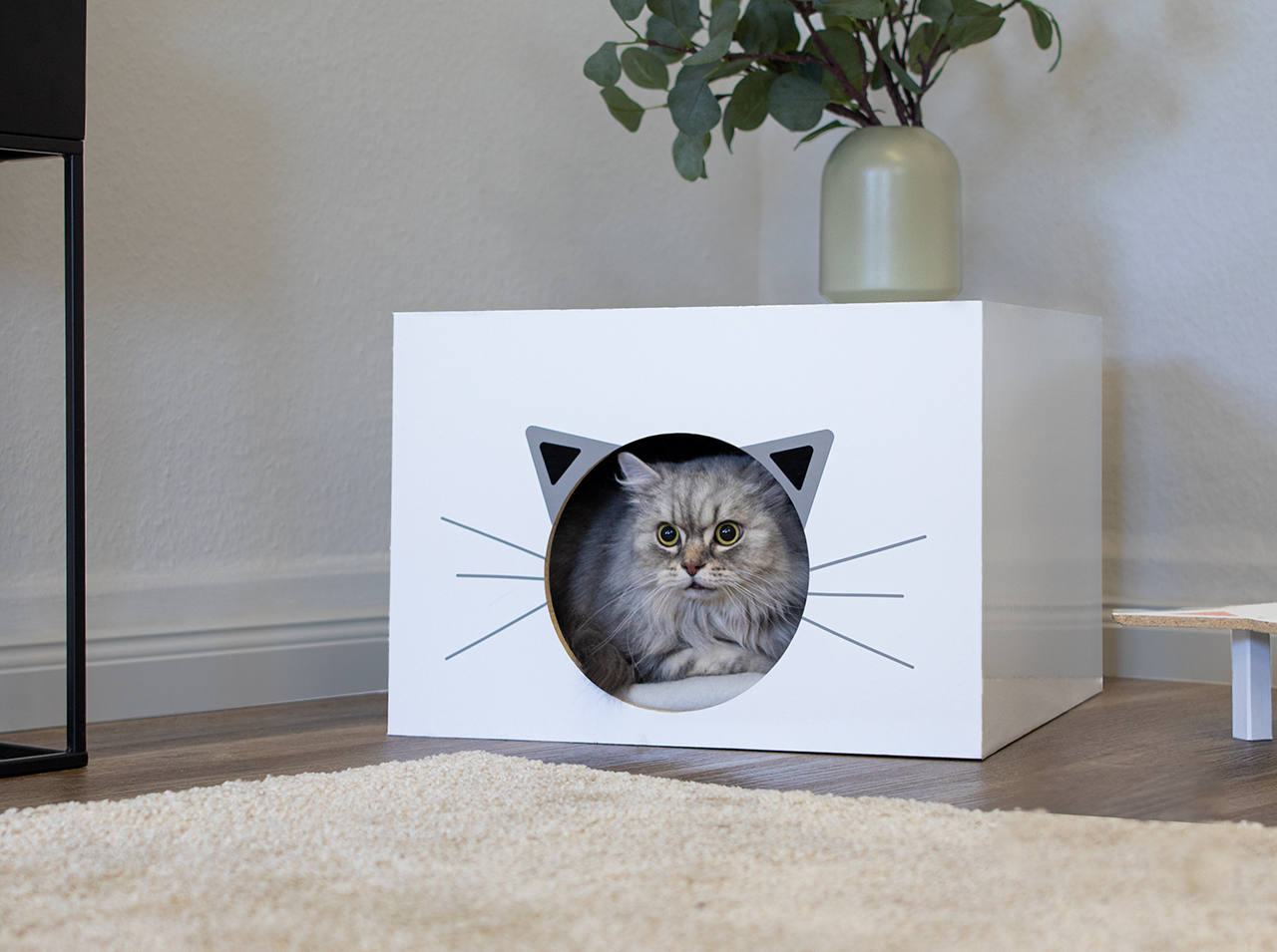 Quadratische Box mit Loch im Look eines Katzenkopfes.