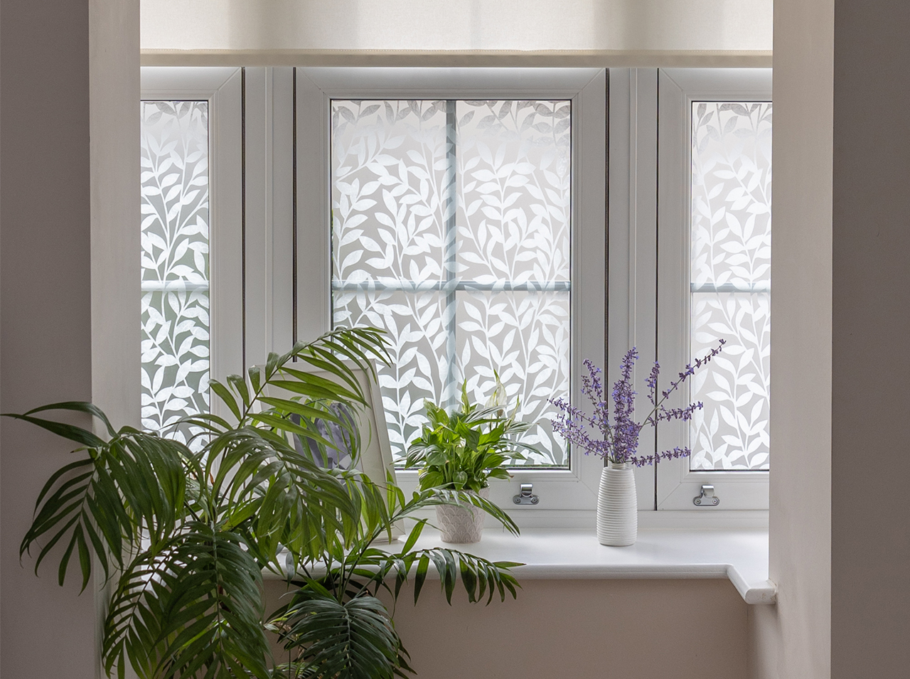 Window covered with opaque window film with white plant contours.
